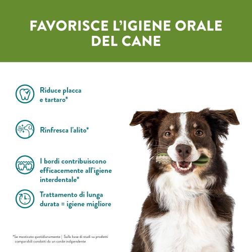 "SmileBoost: Вегетарианские лакомства для здоровой улыбки", 1шт