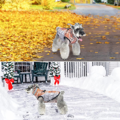 Утепленная отражающая куртка для собак