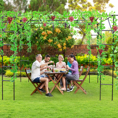 Виноградная арка для растений с решеткой для вьющихся растений