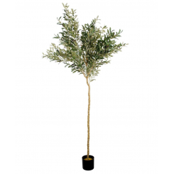 Декор оливкового дерева