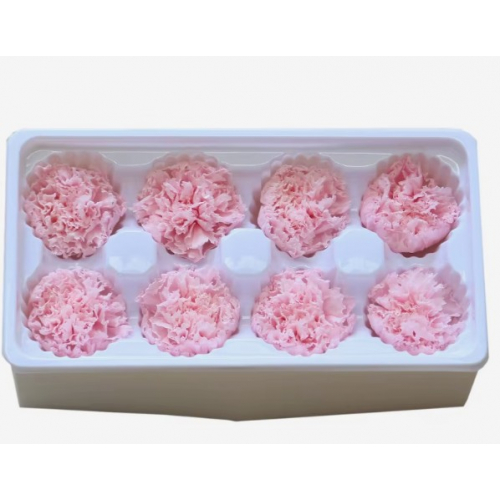 Набор из 8 стабилизированных гвоздик, Ø4–5 см