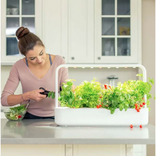 „Click & Grow The Smart Garden 9“ — умный сад