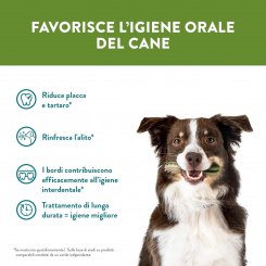 "SmileBoost: Вегетарианские лакомства для здоровой улыбки", 1шт