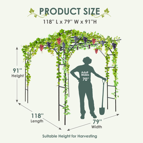 Виноградная арка для растений с решеткой для вьющихся растений
