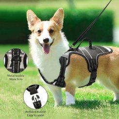 Ошейник для собак с мягкой подкладкой и отражающими полосками