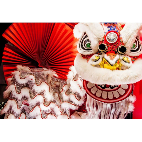 Фон для фотосъемки Leyiyi