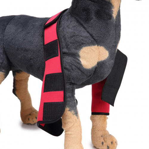 Alfie Pet — фиксаторы на передние лапы собаки