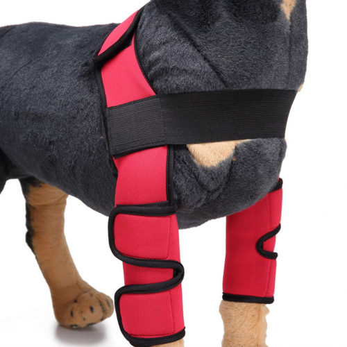 Alfie Pet — фиксаторы на передние лапы собаки