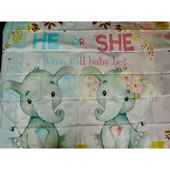 Баннер для фотозоны на гендер пати