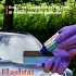 Flashtai Glass Coating — долговечное керамическое покрытие для стёкол автомобиля