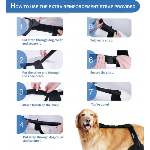 Наколенник MerryMilo для собак на заднюю лапу