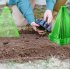 Конусное укрытие для выращивания растений и защиты от вредителей и ветра