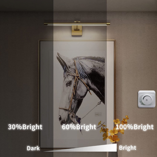 Joosenhouse 24-дюймовый светодиодный светильник